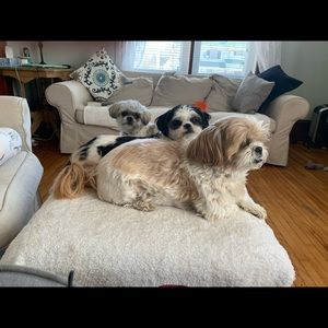 Meet your Posher, Fraser